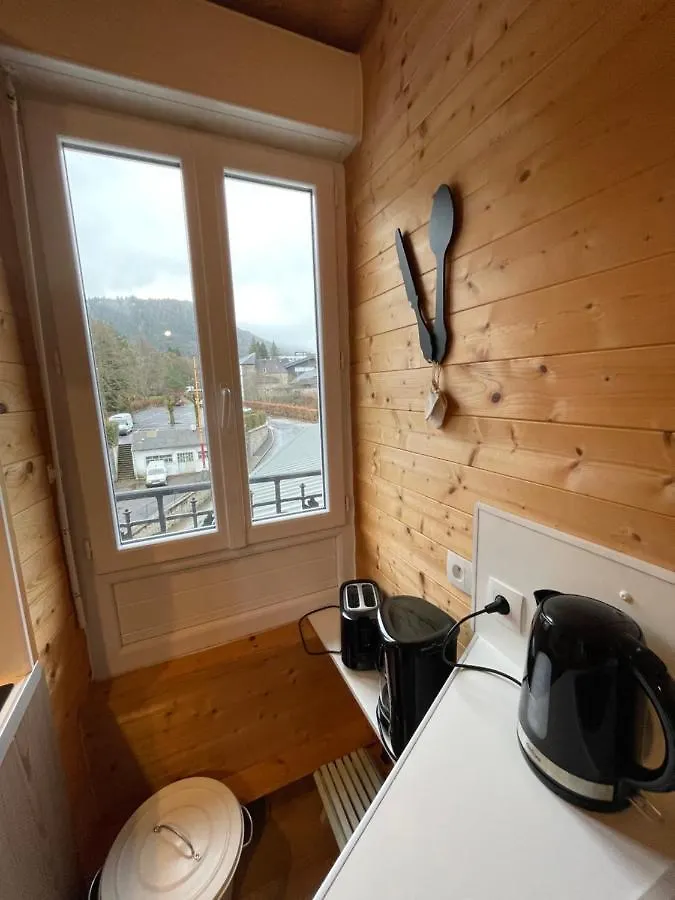 Apartment Appt Lumineux Centre Ville Du Mont Dore Vue Sancy