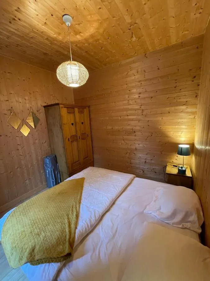 Appt Lumineux Centre Ville Du Mont Dore Vue Sancy Apartment