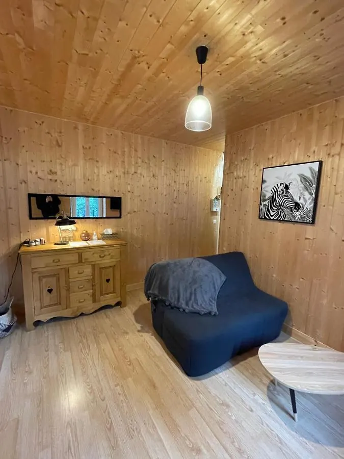 Appt Lumineux Centre Ville Du Mont Dore Vue Sancy Apartment Le Mont-Dore